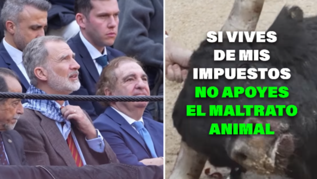 El rey de España provoca furia entre los activistas de los animales después de asistir a 'caridad'.
