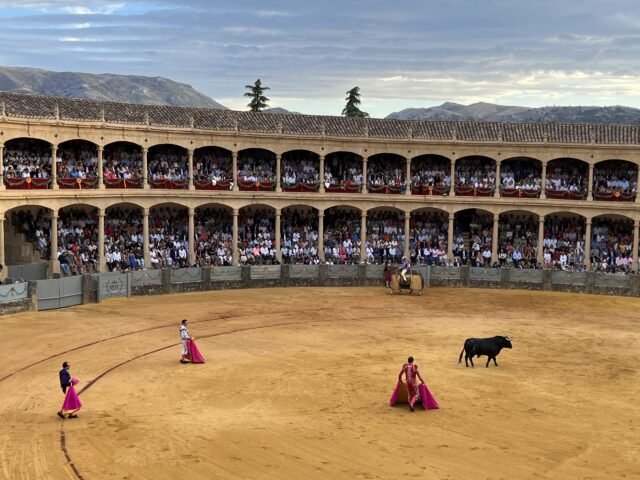 ¿Sol o Sombra? A medida que la temporada de corridas de toros comienza en España, el aficionado Michael Coy ofrece algunos consejos de información privilegiada para ver 'Los Toros'
