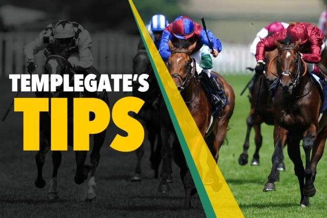 Consejos de carreras de caballos: "Es emocionante y llega después de una mejor mejor manera personal"-Templegate's In-Form 6-1 Nap
