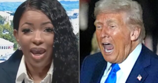 El derribo políticamente incorrecto de Trump de Jasmine Crockett en 'Insane'
