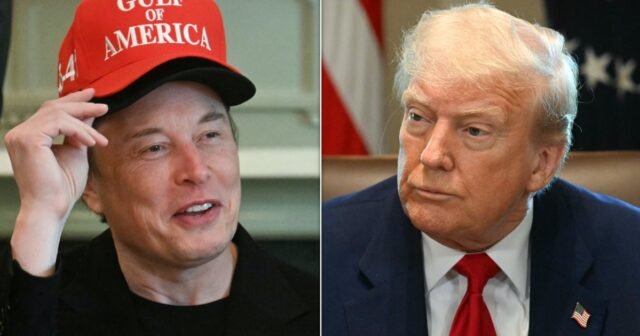 Elon Musk dice que él y Trump están en la misma página '80% del tiempo '
