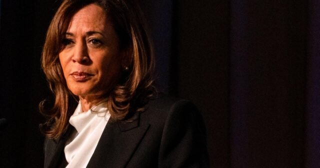 Kamala Harris hace debut en Gala Met, dice que el arte y la política están relacionadas
