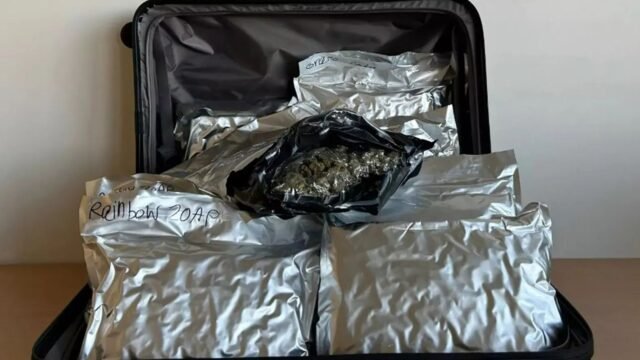 Otro sospechoso de contrabandista británico tailandés arrestado con cannabis transportó al Reino Unido después de Bella Culley y Charlotte May Lee Drama - The Sun
