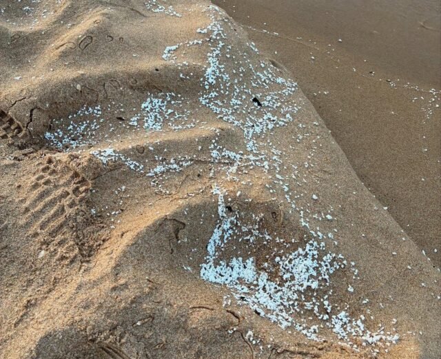 Alerta de la bandera roja mientras la sustancia misteriosa se lava en varias playas de Valencia de España
