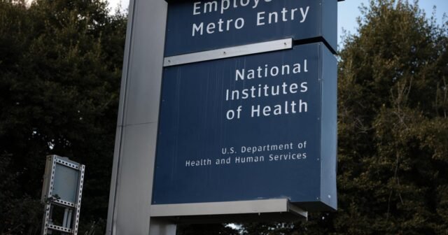 La administración de Trump que pone fin a múltiples estudios de vacuna contra el VIH, los científicos y funcionarios dicen
