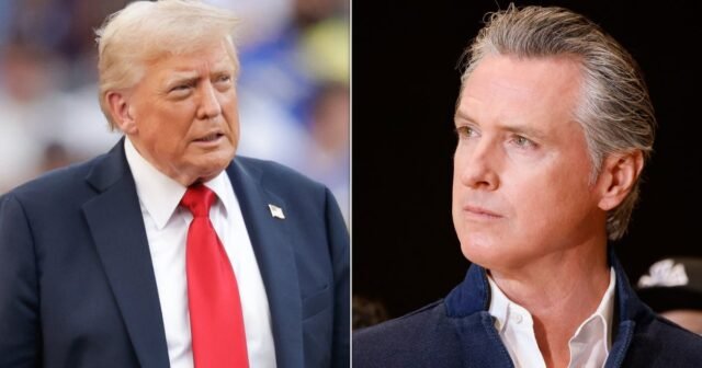 Gavin Newsom llama a Donald Trump un "hijo de perra"
