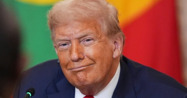 Problemas expertos en autoritarismo "Alerta de culto al líder" sobre el clip oficial de Trump Wild
