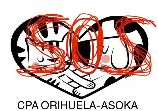 La inacción del consejo deja 300 animales enfrentando crisis en el refugio de Orihuela
