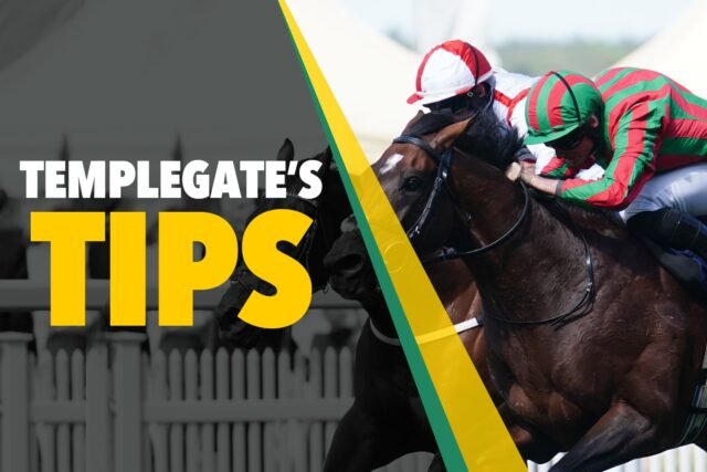Consejos de carreras de caballos: 'Entrenador astuto de este corredor a su viaje ideal' - Templegate's 5-2 el miércoles NAP
