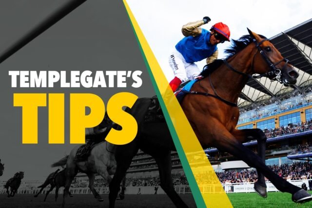 Consejos de carreras de caballos: 'Viaja, se acelera y se ve listo para atacar' - Templegate's 9-2 Saturday Nap A Course Specialist
