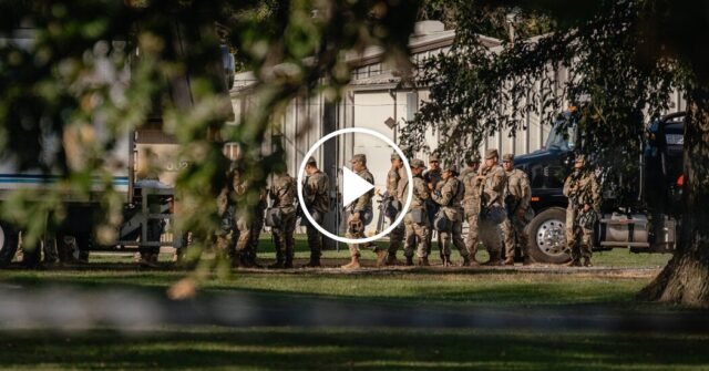 Las tropas de la Guardia Nacional de Texas llegan a Illinois para su despliegue
