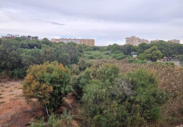 Los residentes exigen acción mientras el Ayuntamiento de Orihuela firma un acuerdo de limpieza de barrancos por valor de 800.000 euros
